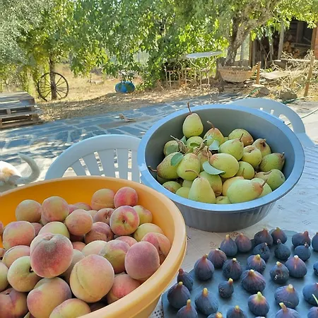 度假居 Casa Da Lameira Vilar do Ruivo